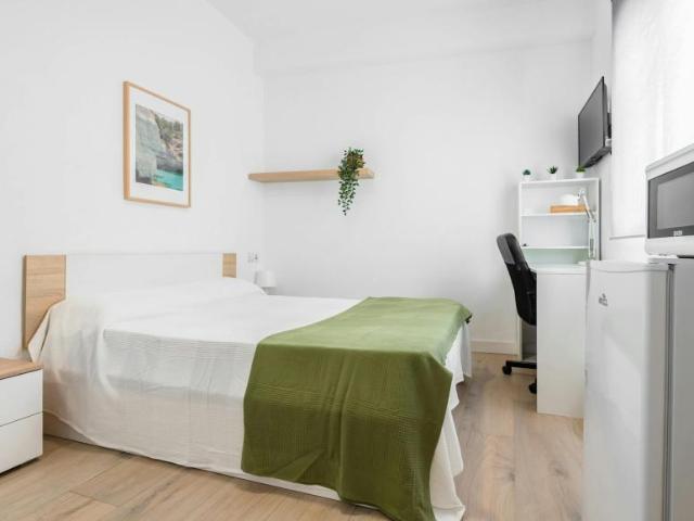 1 Dormitorio Shared Living/Roommate Castelló De La Plana Castelló De La Plana 101849383