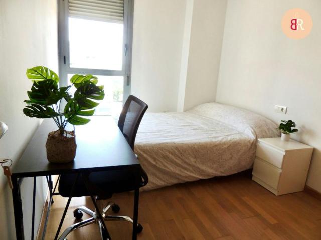 1 Dormitorio Shared Living/Roommate Castelló De La Plana Castelló De La Plana 95657330