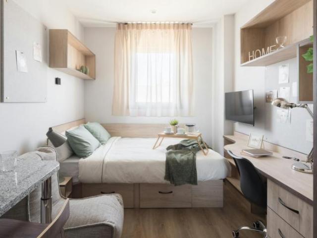 1 Dormitorio Shared Living/Roommate Donostia Donostia 101841453