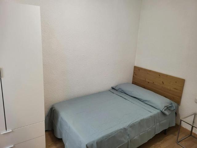 1 Dormitorio Shared Living/Roommate Elche Elche 102850147