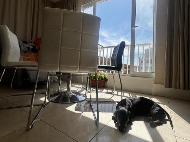 1 Dormitorio Shared Living/Roommate Golf Del Sur Golf Del Sur 103391458