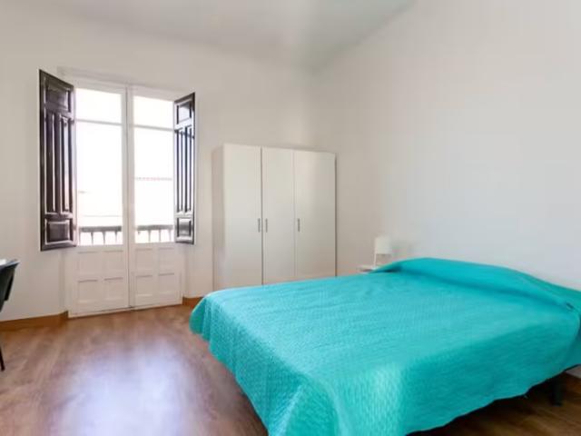 1 Dormitorio Shared Living/Roommate Granada Granada 95925640