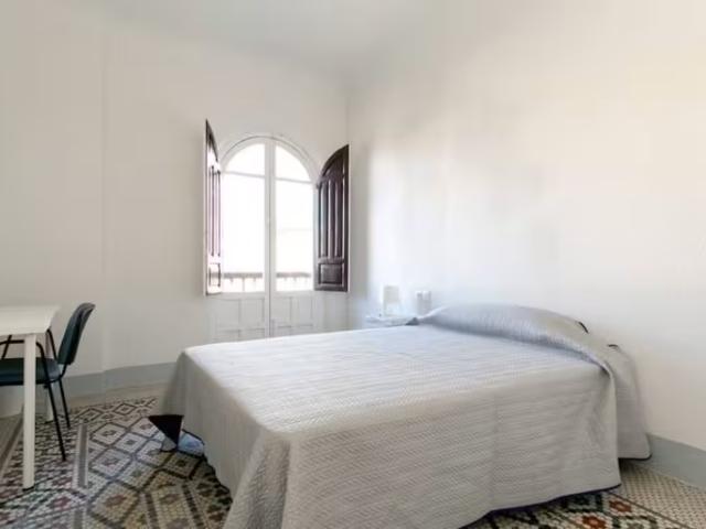 1 Dormitorio Shared Living/Roommate Granada Granada 95925642