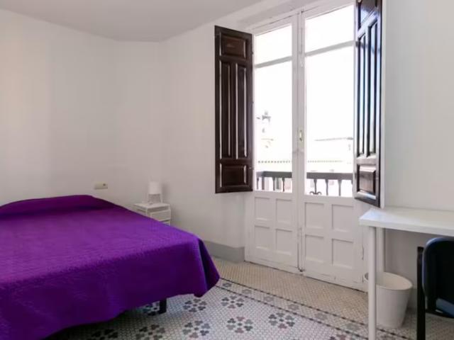 1 Dormitorio Shared Living/Roommate Granada Granada 96743924