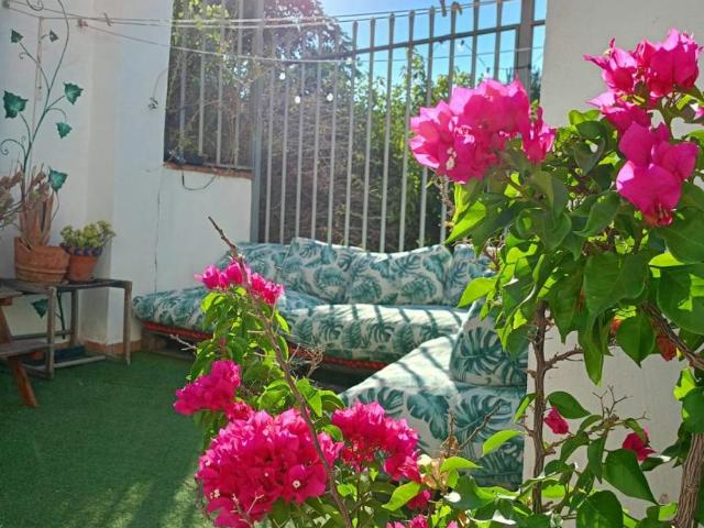 1 Dormitorio Shared Living/Roommate Granada Granada 99798836