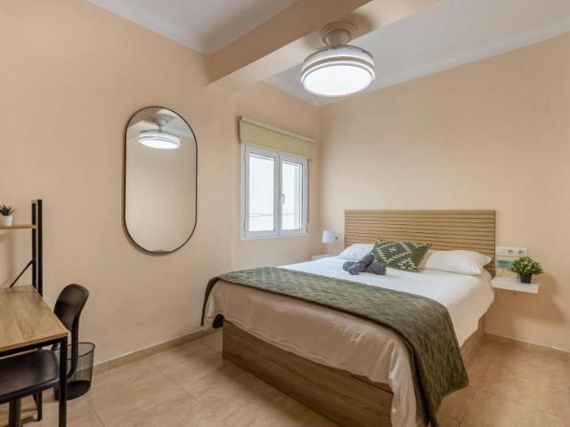 1 Dormitorio Shared Living/Roommate Granada Granada 101839152