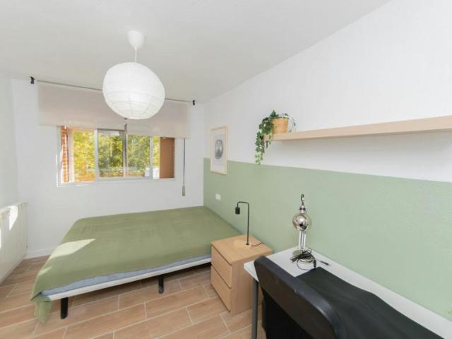 1 Dormitorio Shared Living/Roommate Granada Granada 102852381