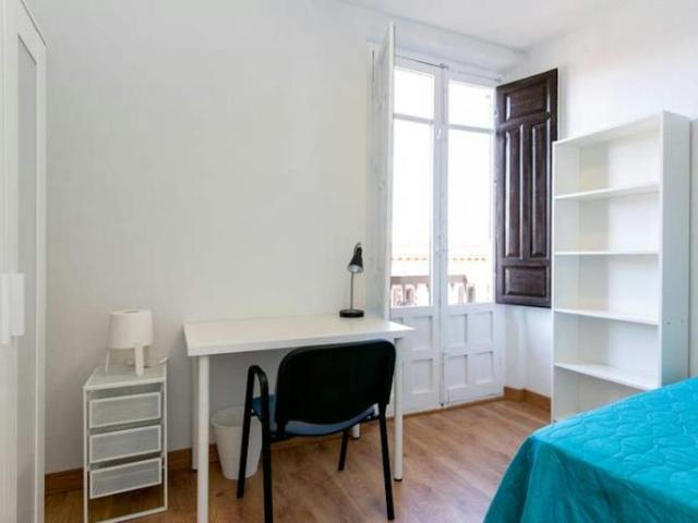 1 Dormitorio Shared Living/Roommate Granada Granada 102856474