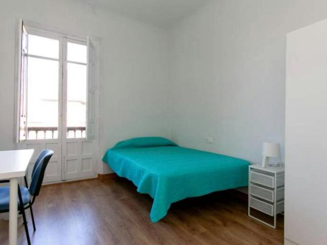 1 Dormitorio Shared Living/Roommate Granada Granada 102856475