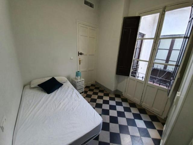 1 Dormitorio Shared Living/Roommate Granada Granada 102856477