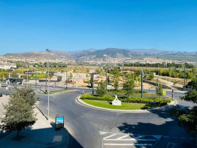 1 Dormitorio Shared Living/Roommate Granada Granada LS97483991