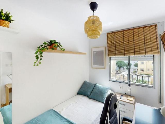 1 Dormitorio Shared Living/Roommate Jerez De La Frontera Jerez De La Frontera 104564443