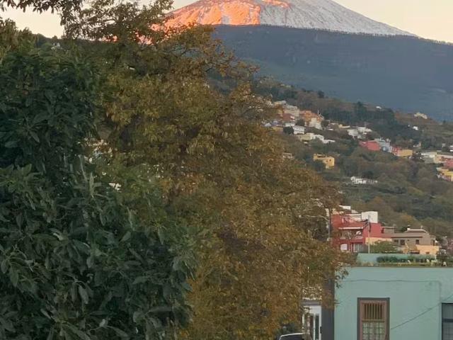 1 Dormitorio Shared Living/Roommate La Orotava La Orotava LS97585526