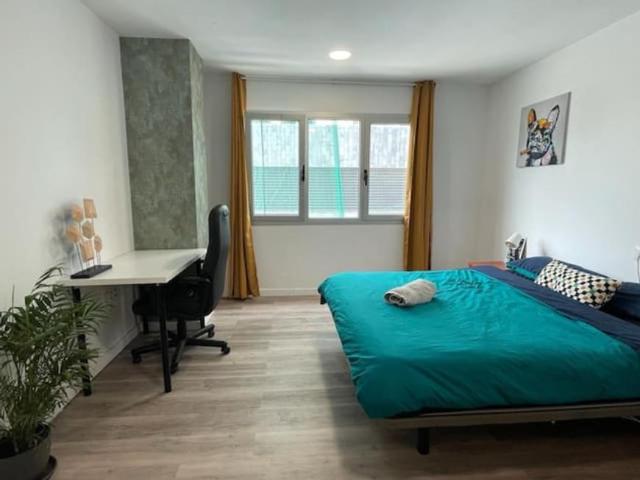 1 Dormitorio Shared Living/Roommate Las Palmas De Gran Canaria Las Palmas De Gran Canaria 77939205