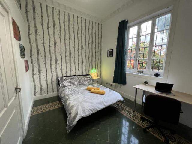 1 Dormitorio Shared Living/Roommate Las Palmas De Gran Canaria Las Palmas De Gran Canaria 77939662
