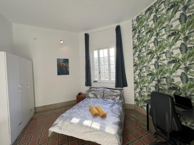 1 Dormitorio Shared Living/Roommate Las Palmas De Gran Canaria Las Palmas De Gran Canaria 77939674