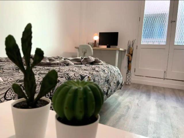 1 Dormitorio Shared Living/Roommate Las Palmas De Gran Canaria Las Palmas De Gran Canaria 77939746