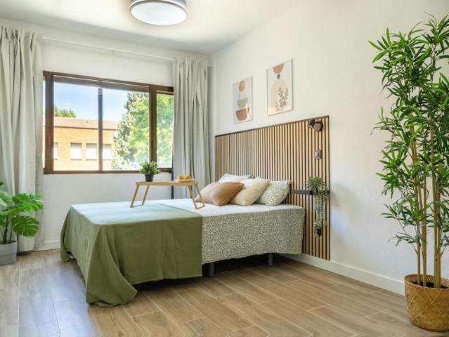 1 Dormitorio Shared Living/Roommate Leganés Leganés LS102847925