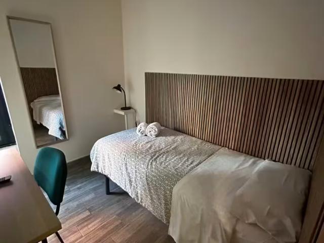 1 Dormitorio Shared Living/Roommate León León 97512378