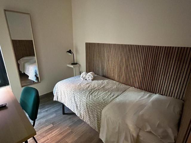 1 Dormitorio Shared Living/Roommate León León LS101839887