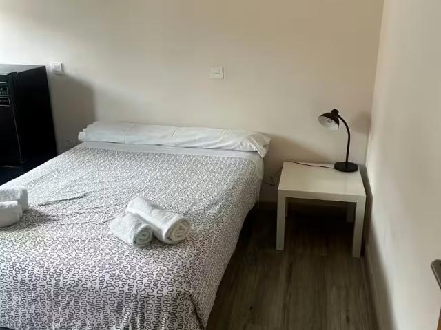 1 Dormitorio Shared Living/Roommate León León LS97382207