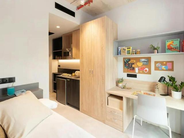 1 Dormitorio Shared Living/Roommate L'Hospitalet De Llobregat L'Hospitalet De Llobregat 99286874
