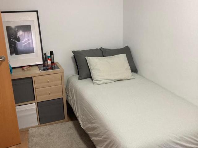 1 Dormitorio Shared Living/Roommate L'Hospitalet De Llobregat L'Hospitalet De Llobregat 99387345