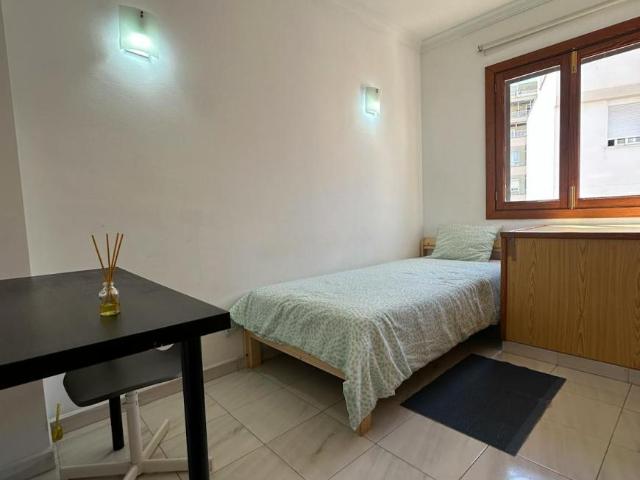 1 Dormitorio Shared Living/Roommate Palma Palma 102849413