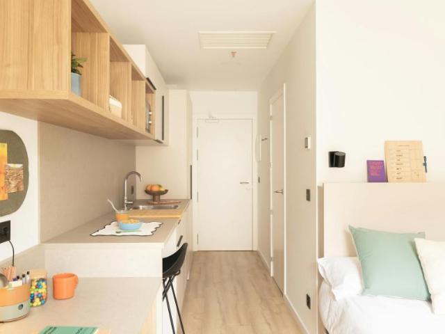 1 Dormitorio Shared Living/Roommate Pamplona Pamplona 102847908