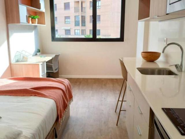 1 Dormitorio Shared Living/Roommate Pamplona Pamplona 102854860