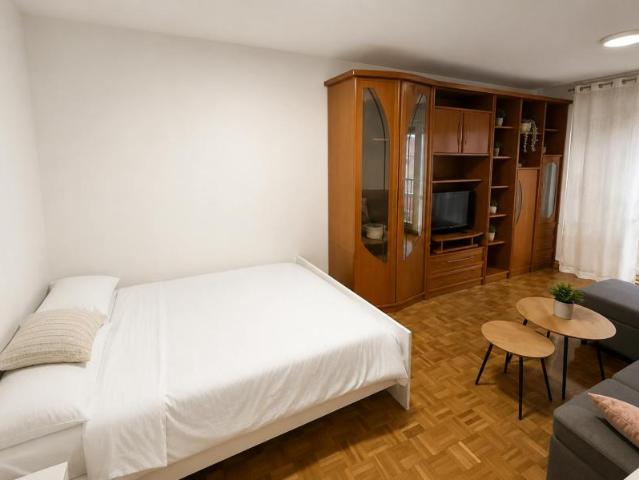 1 Dormitorio Shared Living/Roommate Pamplona Pamplona 104825491