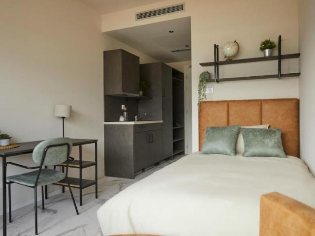 1 Dormitorio Shared Living/Roommate Pozuelo De Alarcón Pozuelo De Alarcón 102813568