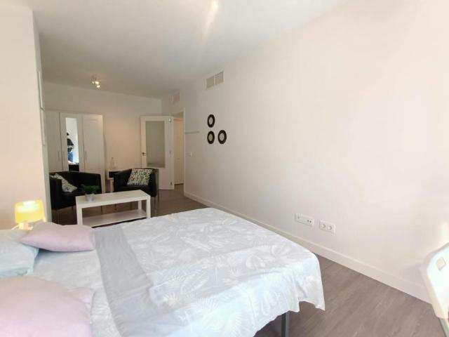 1 Dormitorio Shared Living/Roommate Rivas Rivas 102814040