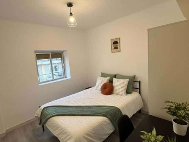 1 Dormitorio Shared Living/Roommate Salamanca Salamanca 101953379