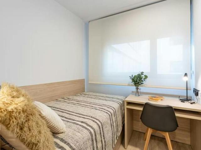 1 Dormitorio Shared Living/Roommate Salamanca Salamanca 91455420