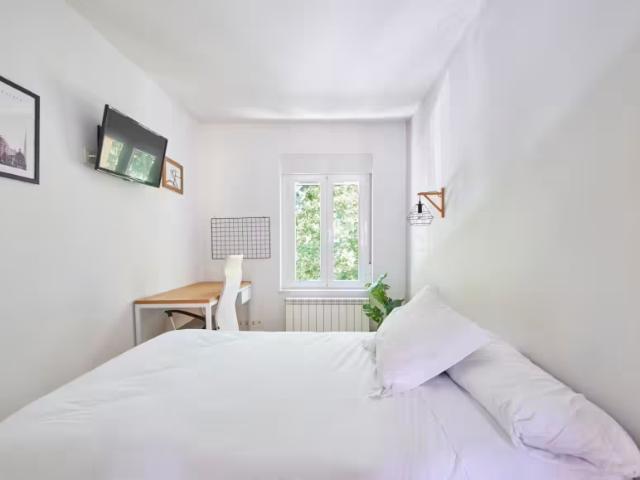 1 Dormitorio Shared Living/Roommate Salamanca Salamanca 95919582