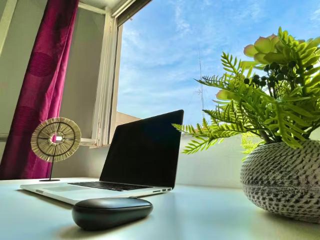 1 Dormitorio Shared Living/Roommate San Vicent Del Raspeig San Vicent Del Raspeig 96383066
