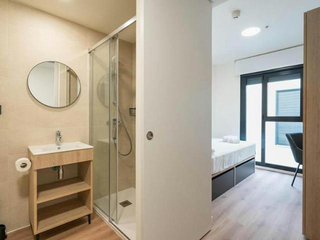 1 Dormitorio Shared Living/Roommate San Vicent Del Raspeig San Vicent Del Raspeig 103579729