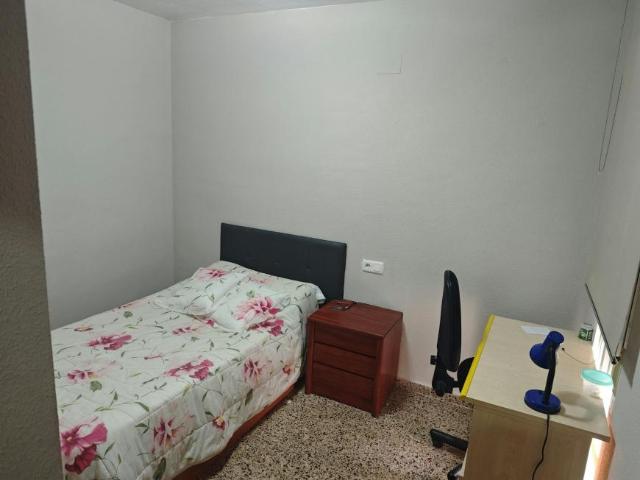 1 Dormitorio Shared Living/Roommate San Vicent Del Raspeig San Vicent Del Raspeig 104068436