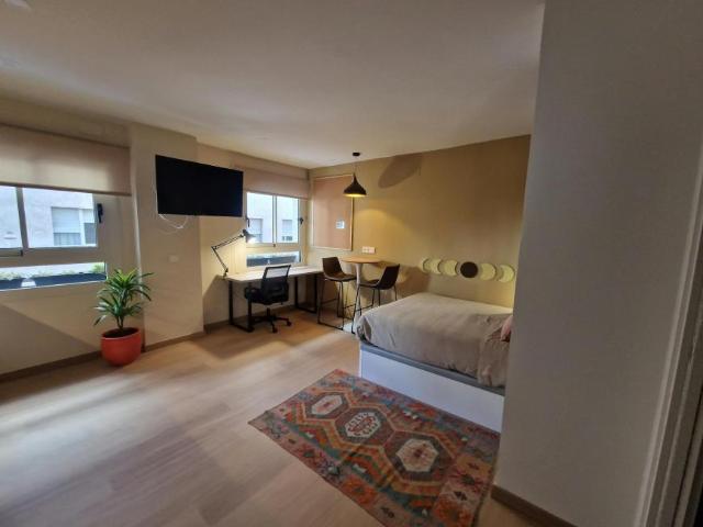 1 Dormitorio Shared Living/Roommate Sant Vicent Del Raspeig Sant Vicent Del Raspeig 100717019