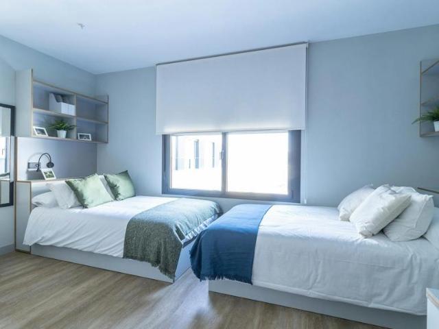1 Dormitorio Shared Living/Roommate Sevilla Sevilla 95691720