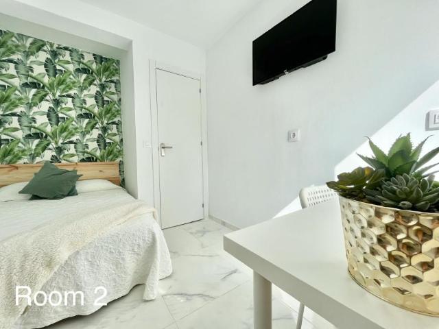 1 Dormitorio Shared Living/Roommate Sevilla Sevilla 101792795