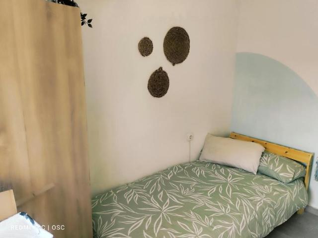 1 Dormitorio Shared Living/Roommate Sevilla Sevilla 101097941