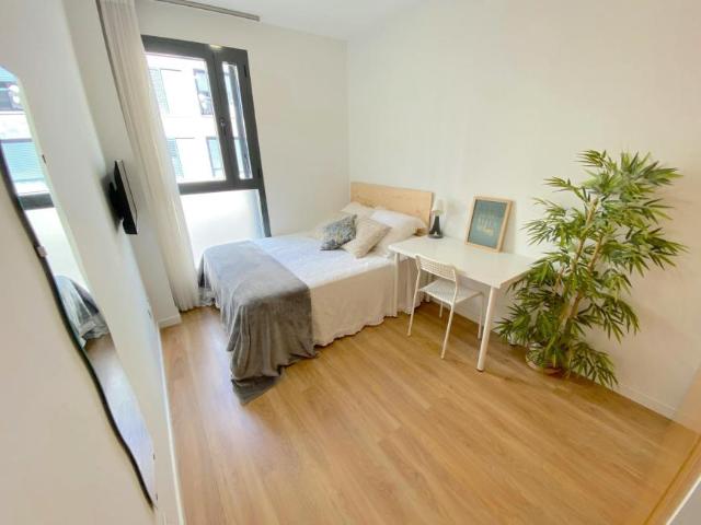 1 Dormitorio Shared Living/Roommate Sevilla Sevilla 102436376