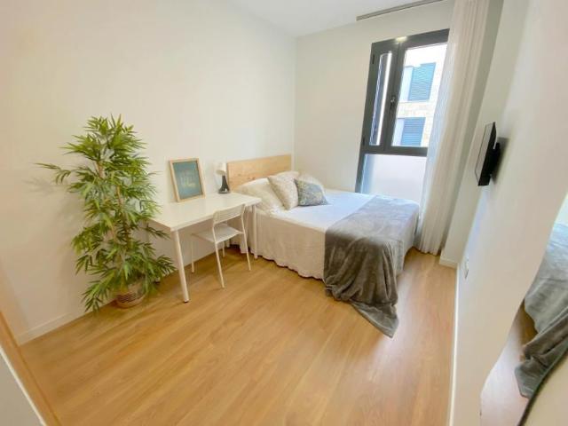 1 Dormitorio Shared Living/Roommate Sevilla Sevilla 102436377