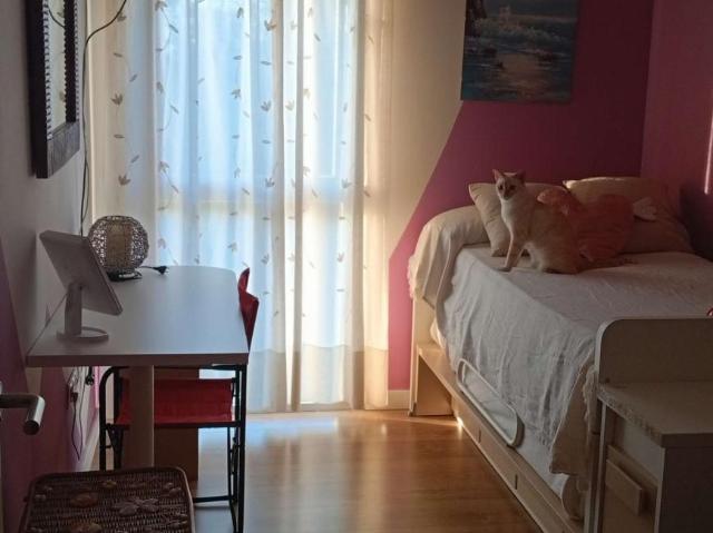 1 Dormitorio Shared Living/Roommate Seville Seville 103398736