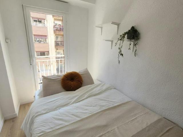 1 Dormitorio Shared Living/Roommate Torrent Torrent 100717301