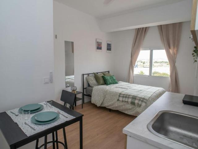1 Dormitorio Shared Living/Roommate Torrent Torrent LS102849850