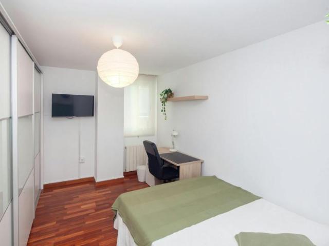 1 Dormitorio Shared Living/Roommate Valencia Valencia LS102852943