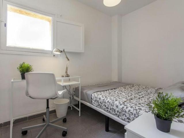 1 Dormitorio Shared Living/Roommate Valencia Valencia 100730430